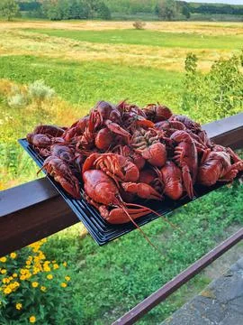 Large plate with boiled fragrant crayfish close-up. country lifestyle Stock Photos