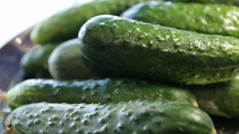Large plate with fresh cucumbers. cucumbers are not cut.close-up. Stock Footage 114739870