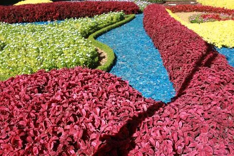 Large plot of landscaping and flowers in the garden Stock-Fotos
