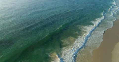 Large pod of dolphins playing and swimming in Australian surf 스톡 동영상 110048919