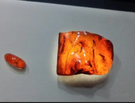 Large polished amber specimen displayed in a museum Stock Photos