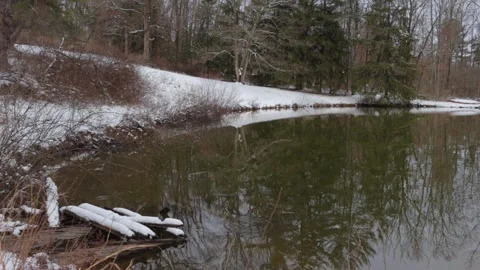 Large Pond on Snowy Day Vídeo Stock 234433277