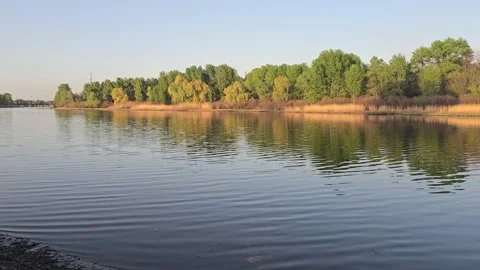 Large pond surrounded by trees and plants. Camping. Spring landscape. Stock Footage 307518828