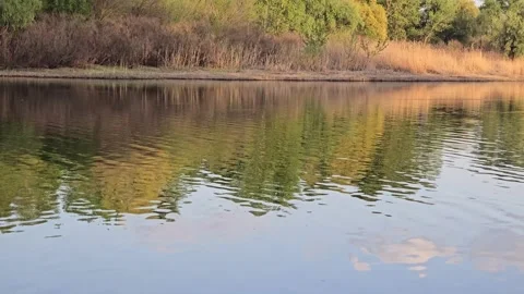 Large pond surrounded by trees and plants. Camping. Spring landscape. Stock Footage 307519853