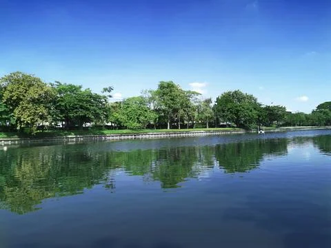 A large pool in the middle of the park is filled with large trees surrounded Stock Photos