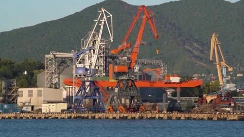 Large port with different coloured cranes at forestry hill Stock Footage 142315549