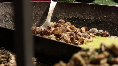 Large pot of snails cooked in the sauce, shellfish meal Stock Footage 328575114