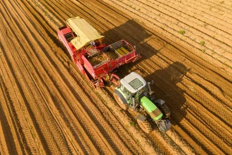 Large Potato Harvester pulled by a Tractor processing a filed, Aerial image. Stock Photos