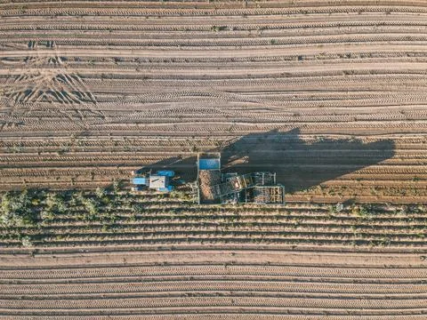 Large Potato Harvester pulled by a Tractor processing a filed, with ripe Stock Photos