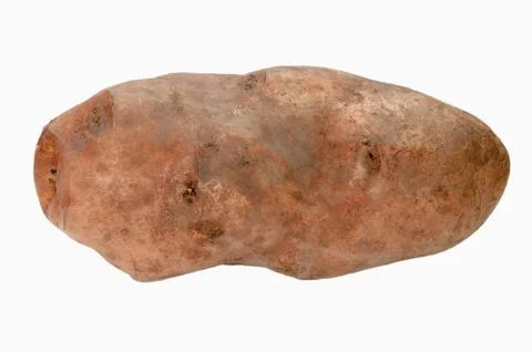 Large potato tuber Stock Photos