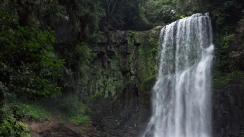 Large powerful waterfall in rainforest Stock Footage 259442449