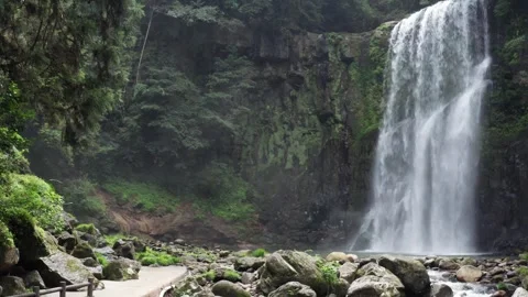 Large powerful waterfall in rainforest Stock Footage 259442453