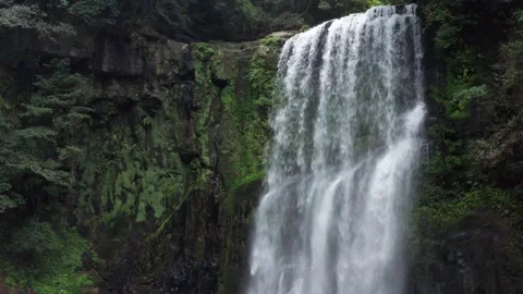 Large powerful waterfall in rainforest Stock Footage 259442456