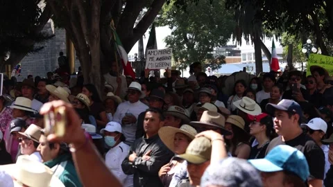 Large Protest Crowd With Mexican Flags and Signs in Puebla Zocalo Stock Footage 341902696