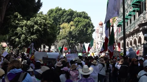 Large Protest Crowd Waving Mexican Flags at Puebla Zocalo Stock Footage 341881224