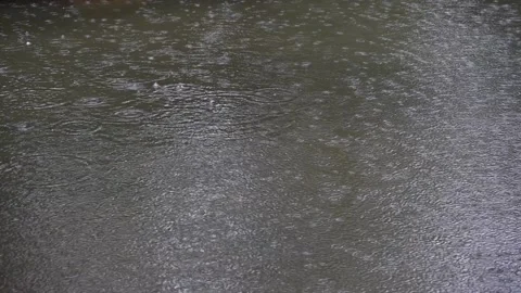 Large puddle with bubbles from heavy raindrops Stock Footage 195213352
