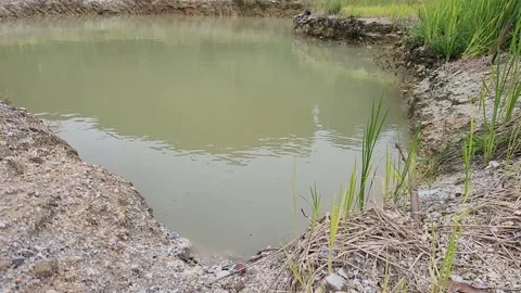 A large puddle of dirty water Stockbeeldmateriaal 251449328
