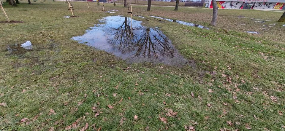 Large Puddle Reflecting Bare Trees Park Foto stock