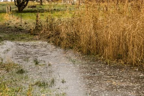 Large puddle under ice in nature. Stock Photos