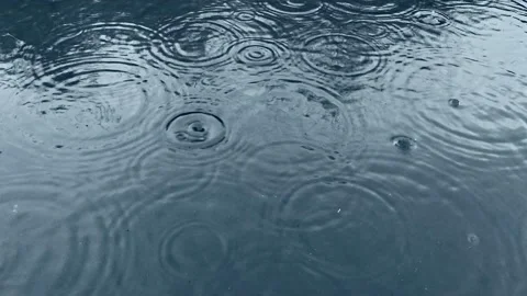 Large puddles after rain, drops form circles on the water Stock Footage 131519992
