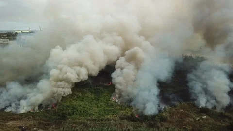 Large puffs of smoke from the fire in the field Stock Footage 123241641