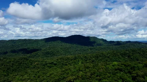 A large puffy white cloud is moving over a tropical forest canopy 库存影片 336864919