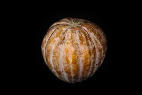 Large pumpkin on black background Front View 스톡 사진