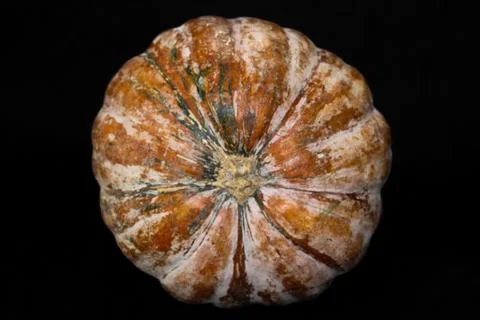 Large pumpkin on black background 스톡 사진