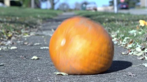 Large pumpkin smashed on sidewalk after halloween slow motion Video stock 84527363