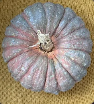 Large pumpkin top view Stock Photos