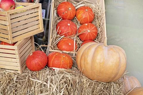 Large pumpkins and small pumpkins in a crate in hay, top view. Halloween, h.. Stock Photos