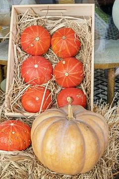 Large pumpkins and small pumpkins in a crate in hay, top view. Halloween, h.. Stock Photos