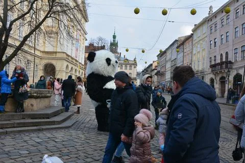 Large puppet panda in the central square of Lviv for tourist entertainment. Stock Photos