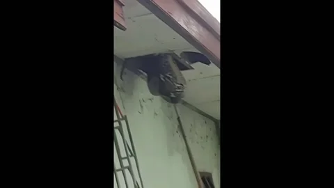 A large Python was discovered coiling on the roof of a house in Makassar, In... Stock Footage 232785246