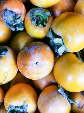 Large quantities of orange persimmons Stock Photos