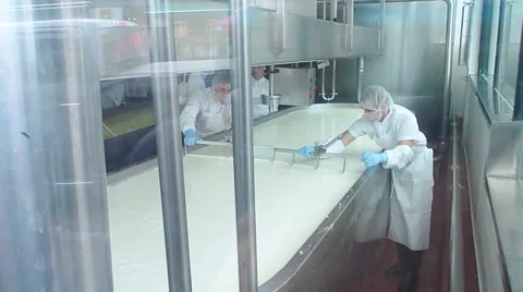 Large Quantity Cheesemaking Video stock 66518409