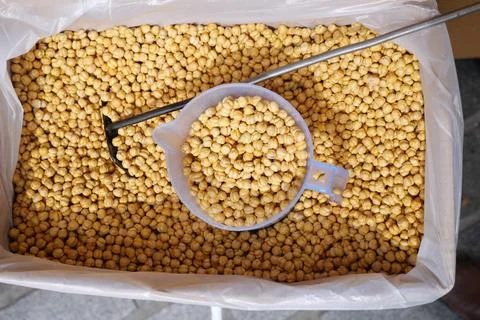 A large quantity of chickpeas in a container with a measuring scoop Stock Photos