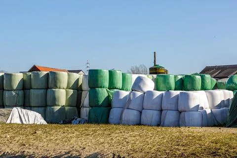 Large quantity of hay bales piled up and wrapped in plastic sheets Stock Photos