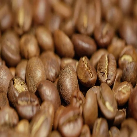 Large quantity of high quality coffee beans Stock Footage 69395737