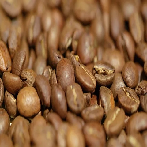 Large quantity of high quality coffee beans Stock Footage 69396202