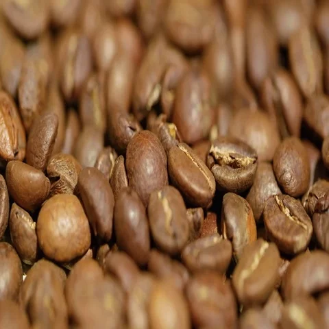 Large quantity of high quality coffee beans Stock Footage 69396425