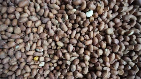 Large Quantity of Peanuts Piled on Tray at Street Market Stall Stock Photos
