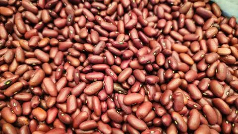 Large quantity of purple beans in a bag Stock Photos