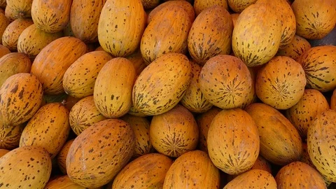 Large quantity of ripe melons, melons for sale at counter, 库存影片 114519547