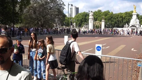 Large queue moving in batch at Buckingham palace Stock Footage 209150312