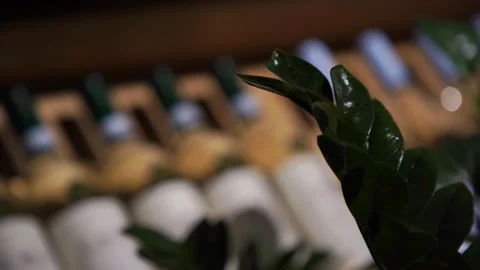 A large rack with bottles of wine lying in a row one after another in restaurant Stock Footage 164961677