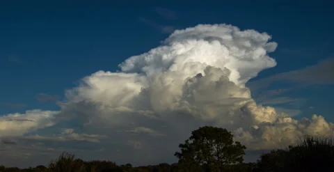 Large Rain Clouds at Dusk (2160p 23.976) Stock Footage 148167178