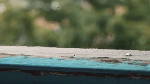 Large raindrops are falling on the trees as seen through the window glass Stock Footage 159504033