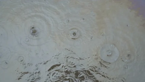 Large raindrops fall on the surface of the river along which colorful oil stains Video stock 166207293