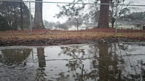 Large Raindrops Falling in Slow Motion Stock Footage 299079477
